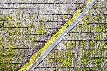 removing algae from roof